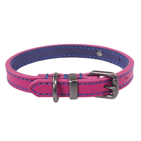 Dog Walking Kit - Pink