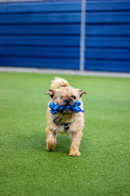 Rosewood Battersea Rope Bone