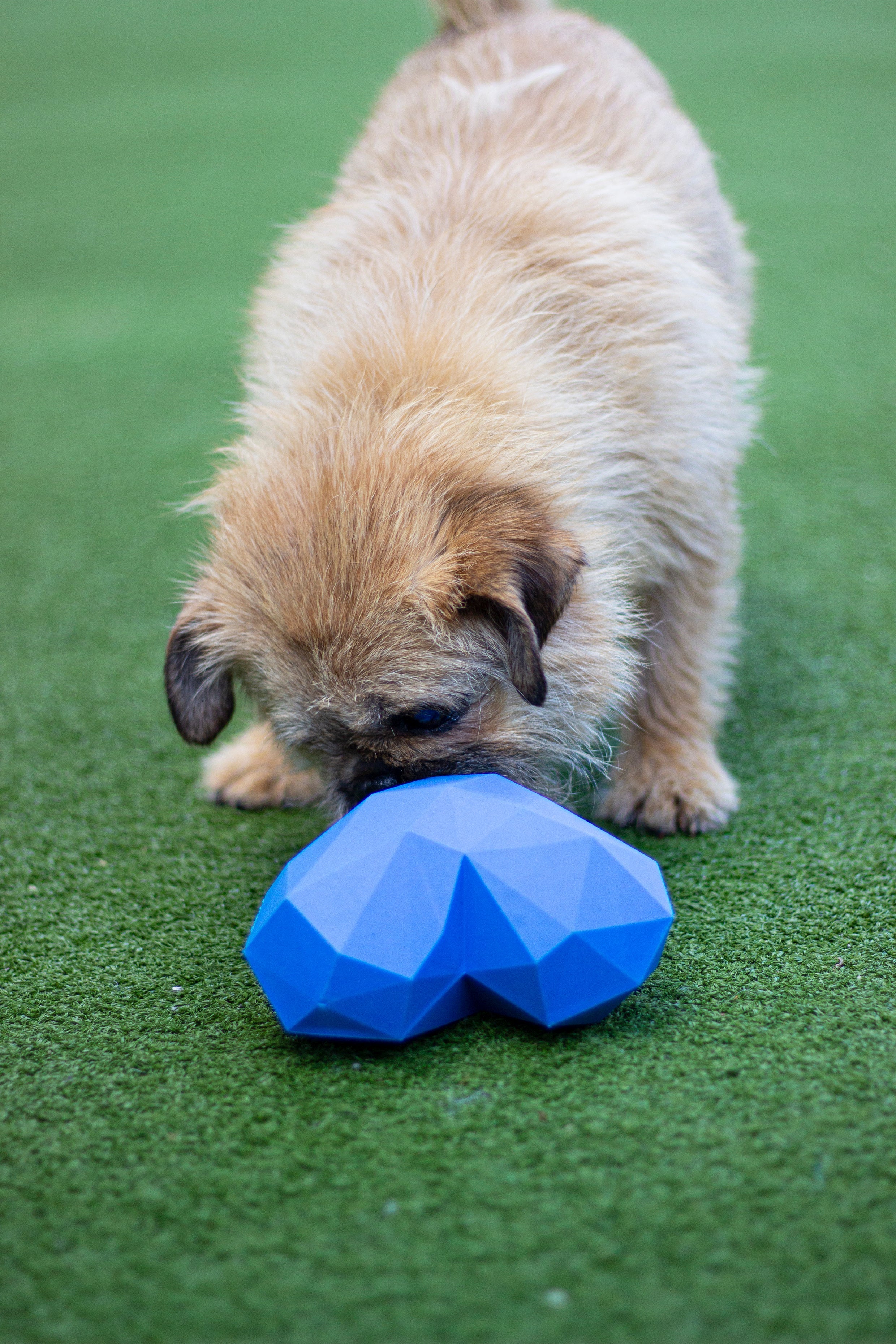 Rosewood Battersea Rubber Heart Treat Toy