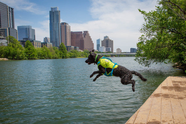 Dog Life Jacket