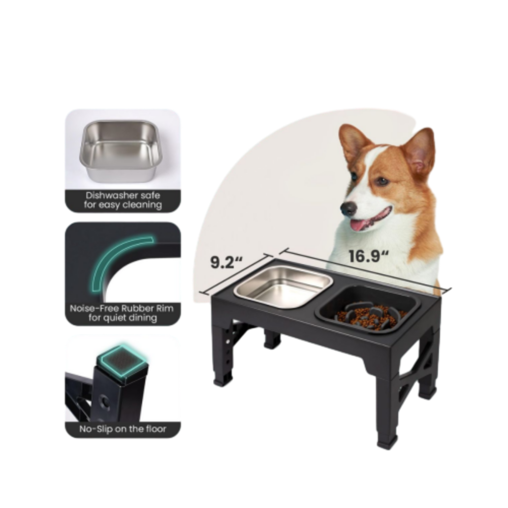 Raised Feeding Station Pro for Daily Dog Feeding