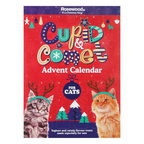 Advent Calendar for Cats for dogs and pet-parent routines