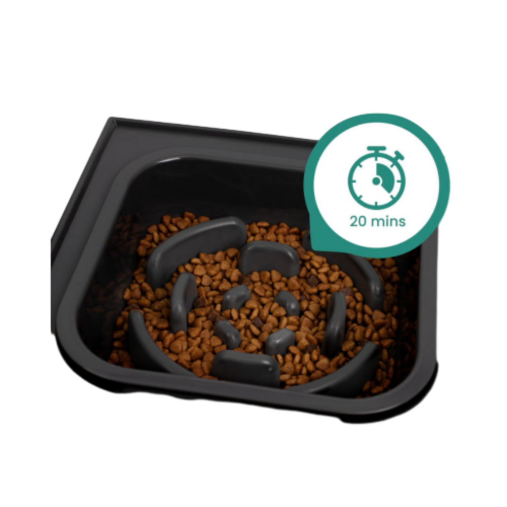 Raised Feeding Station Pro for Daily Dog Feeding