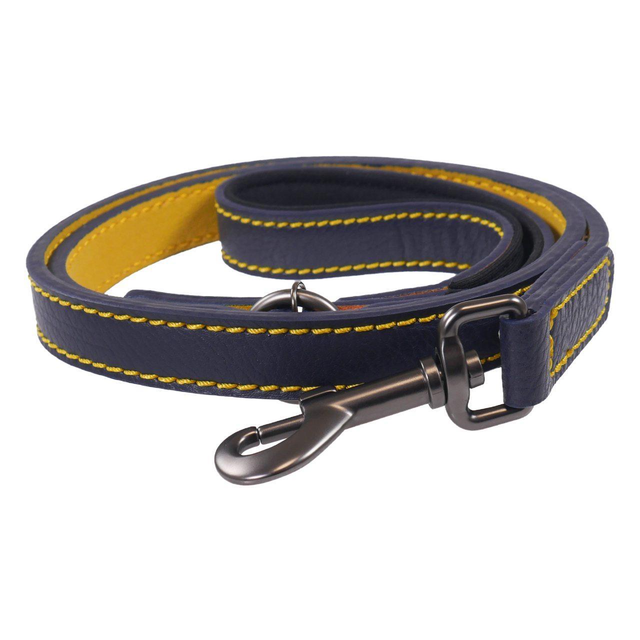Dog Walking Kit - Blue