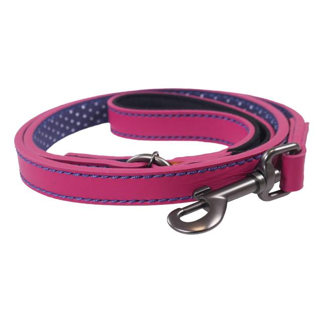 Dog Walking Kit - Pink