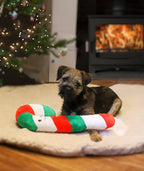 Carrie Candy Cane
