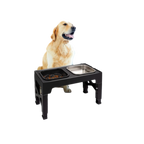 Raised Feeding Station Pro for Daily Dog Feeding