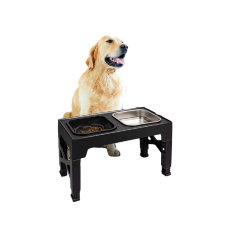 Raised Feeding Station Pro for Daily Dog Feeding