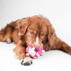 Outward Hound Tootiez