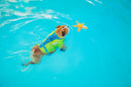 Floatiez Starfish