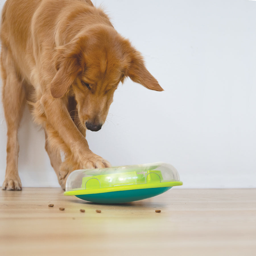 Nina Ottosson Wobble Bowl Puzzle Toy