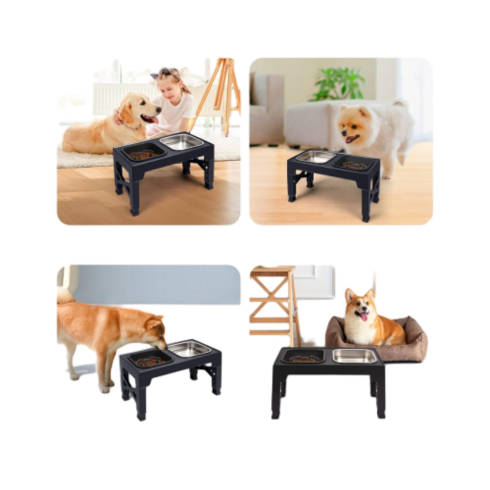 Raised Feeding Station Pro for Daily Dog Feeding
