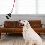 Outward Hound Tail Teaser Replacements