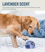 Petstages Planet Dog Orbee-Tuff Essentials Scented Ball Treat