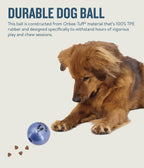Petstages Planet Dog Orbee-Tuff Essentials Scented Ball Treat