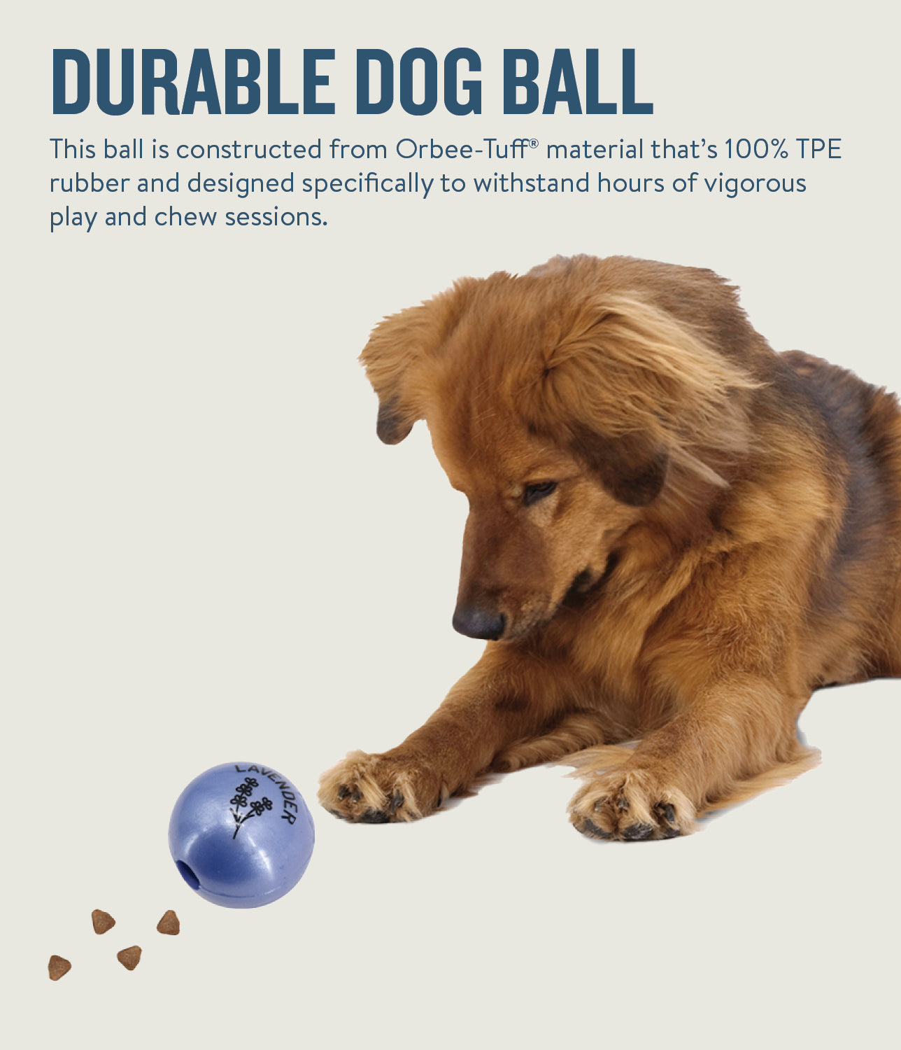 Petstages Planet Dog Orbee-Tuff Essentials Scented Ball Treat