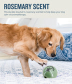 Petstages Planet Dog Orbee-Tuff Essentials Scented Ball Treat