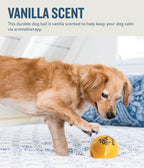 Petstages Planet Dog Orbee-Tuff Essentials Scented Ball Treat