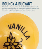 Petstages Planet Dog Orbee-Tuff Essentials Scented Ball Treat