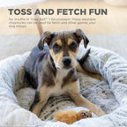 Nina Ottosson Chipmunk Snuffle Treat Replacements