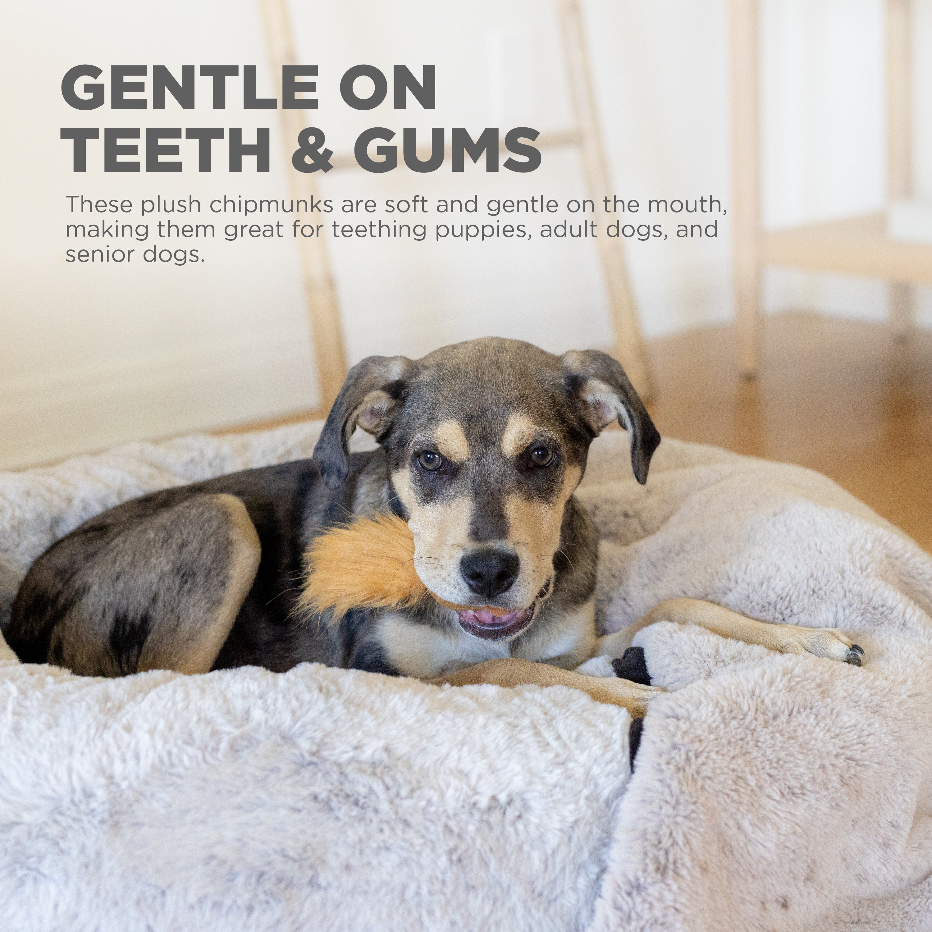 Nina Ottosson Chipmunk Snuffle Treat Replacements