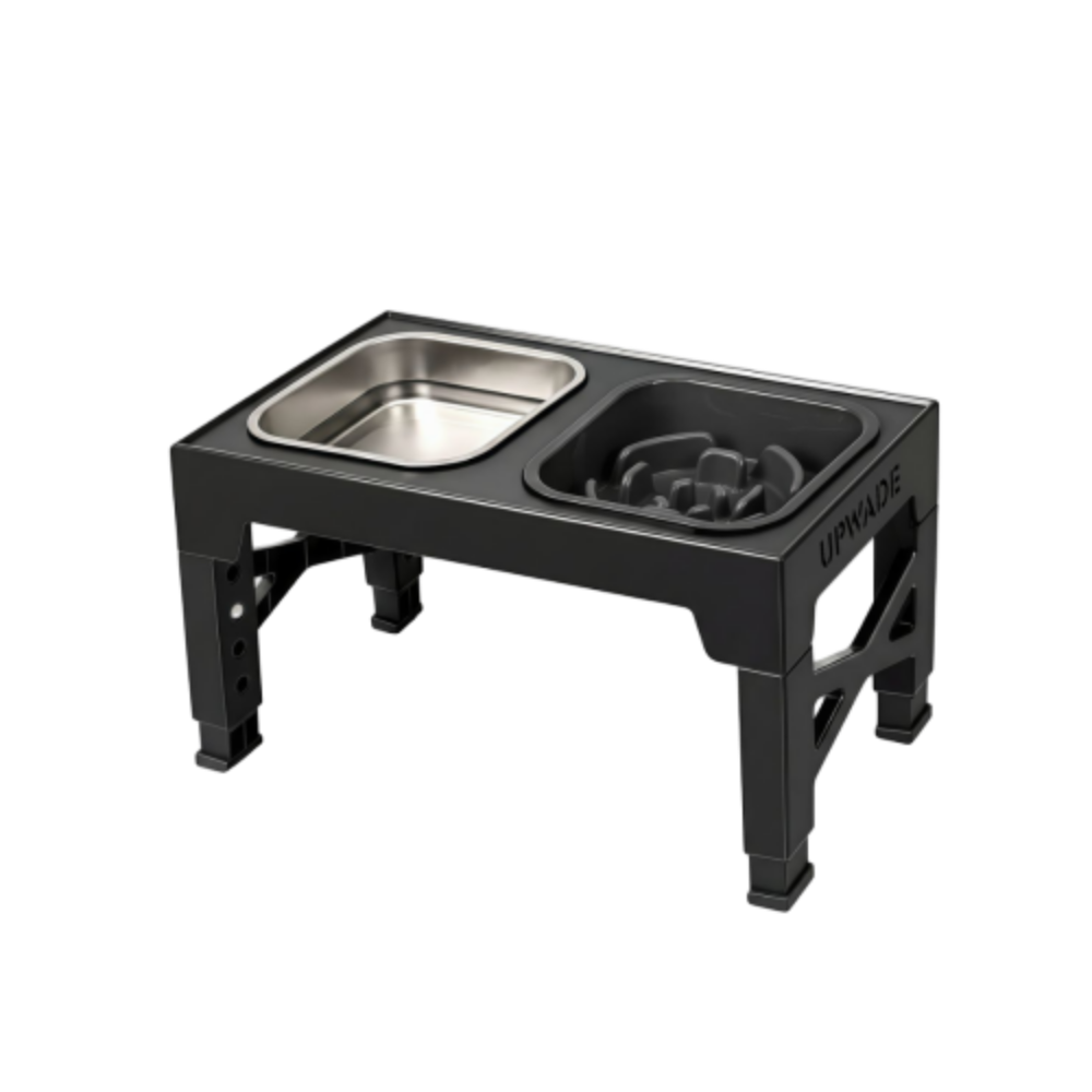 Raised Feeding Station Pro for dogs and pet-parent routines