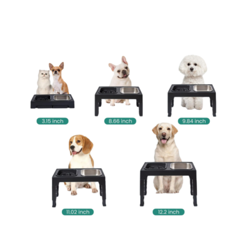 Raised Feeding Station Pro for Daily Dog Feeding
