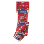 Christmas Dinner Dog Stocking for dogs and pet-parent routines