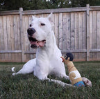 CPD041_Charming Pet_Squawkers Earl
