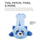 CPD069_Charming Pet_Longidudes Raccoon Blue