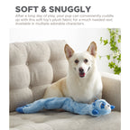 CPD069_Charming Pet_Longidudes Raccoon Blue