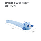 CPD069_Charming Pet_Longidudes Raccoon Blue
