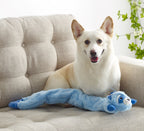 CPD069_Charming Pet_Longidudes Raccoon Blue