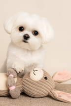 Outward Hound Thunder Tuggerz Bunny