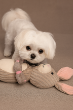 Outward Hound Thunder Tuggerz Bunny