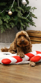 Rope Core Candy Cane