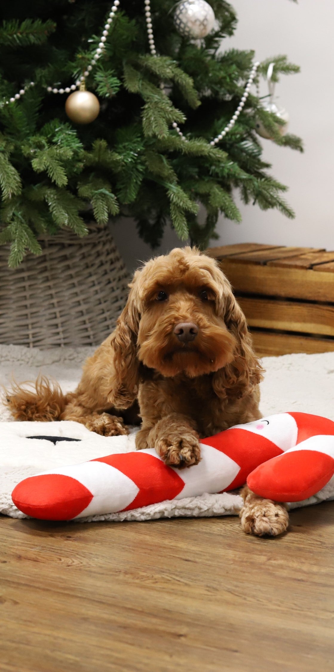 Rope Core Candy Cane