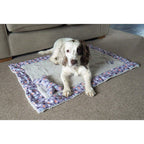 Luxury Winter Forest Dog Blanket and Toy