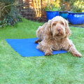 Rosewood Pet Cool Mat for dogs and pet-parent routines