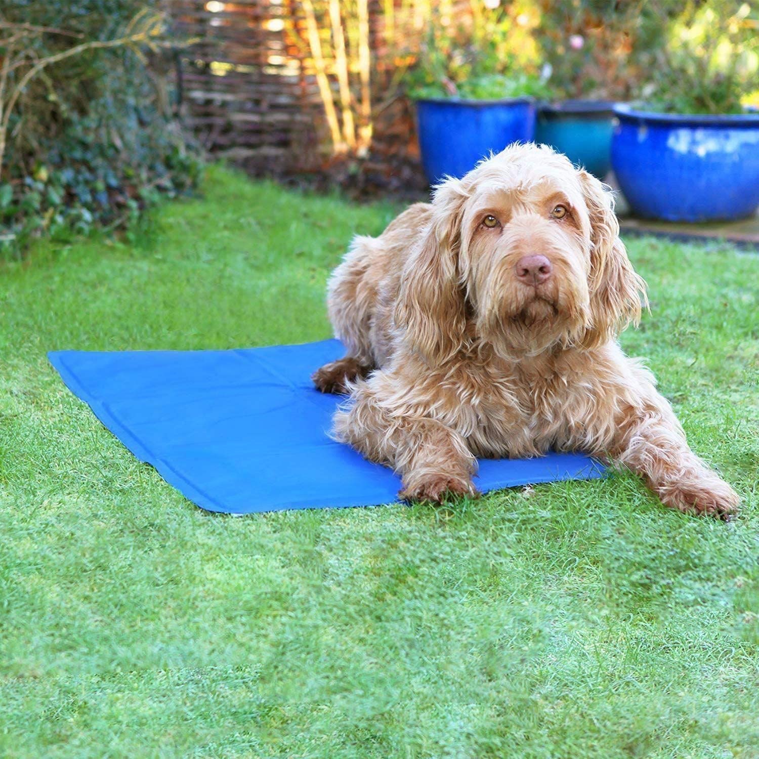 Rosewood Pet Cool Mat for dogs and pet-parent routines