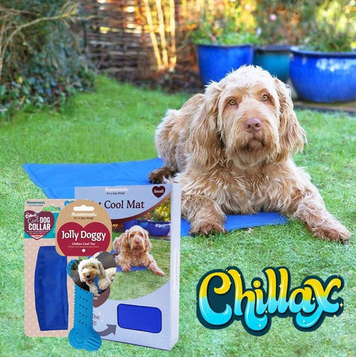 Chillax Cooling Kit (/Medium/Large)