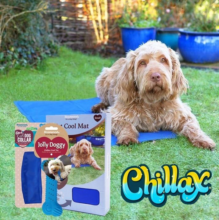 Chillax Cooling Kit (/Medium/Large)