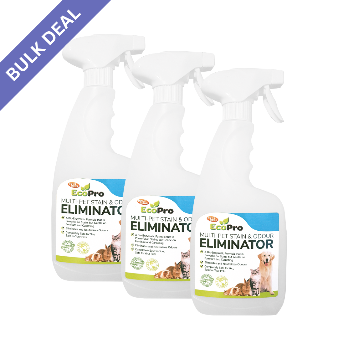 Dog Stain and Odour Spray for dogs and pet-parent routines