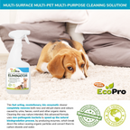 Dog Stain and Odour Spray