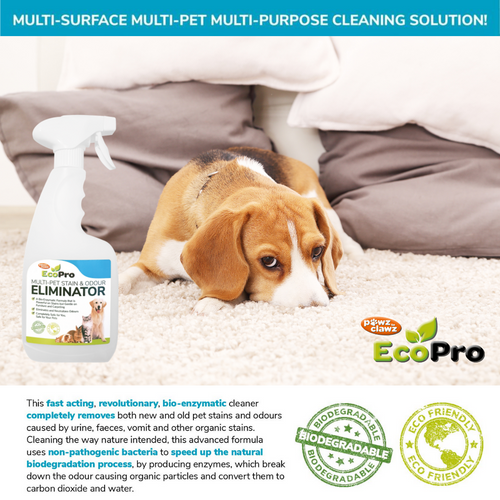 Dog Stain and Odour Spray
