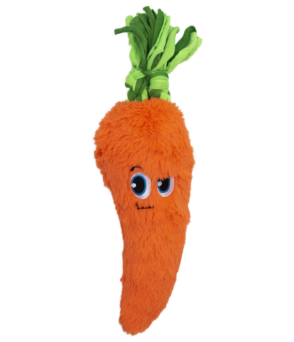 Fetchtablez Carrot for dogs and pet-parent routines