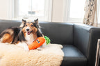 Fetchtablez Carrot
