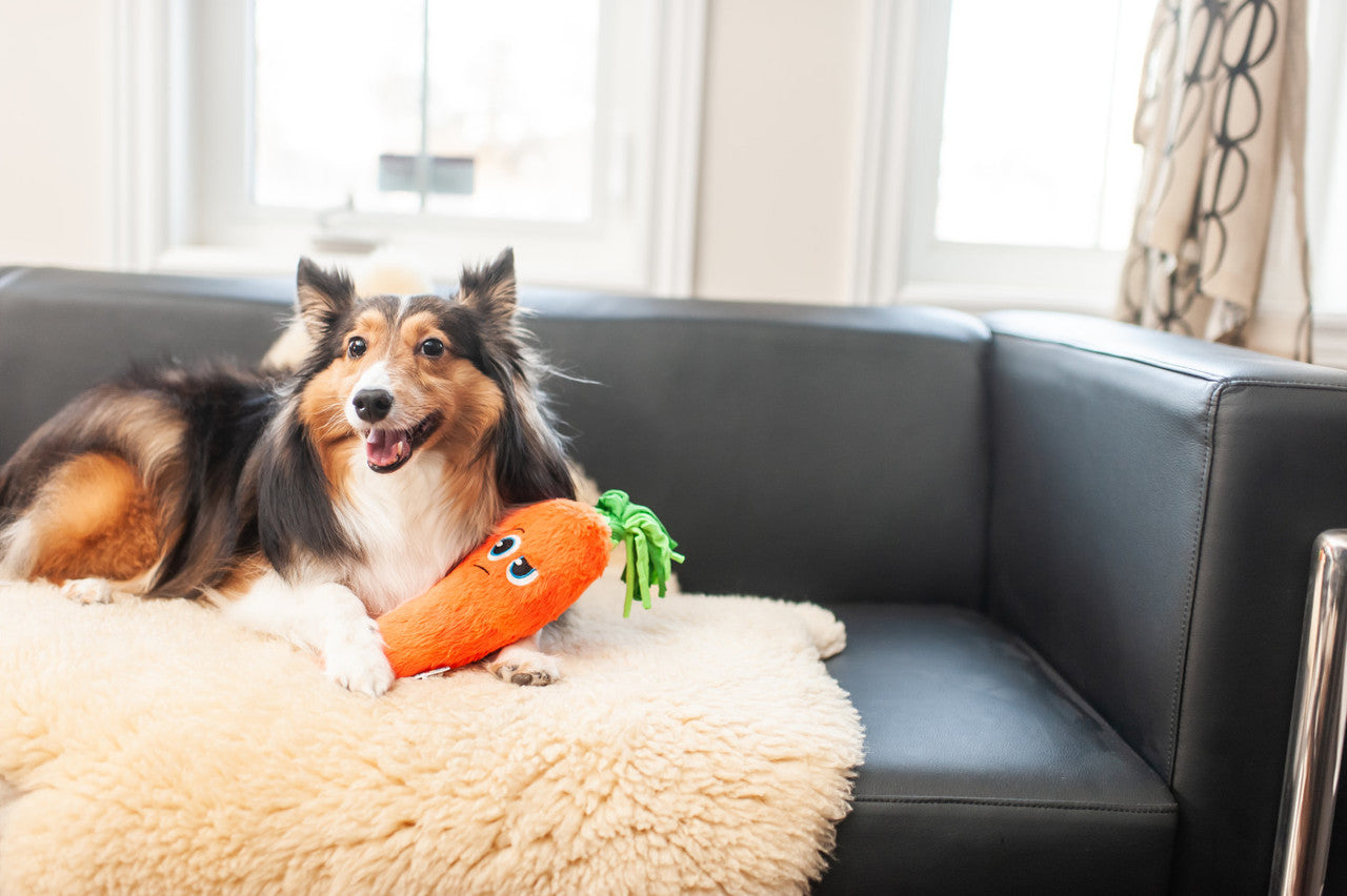 Fetchtablez Carrot