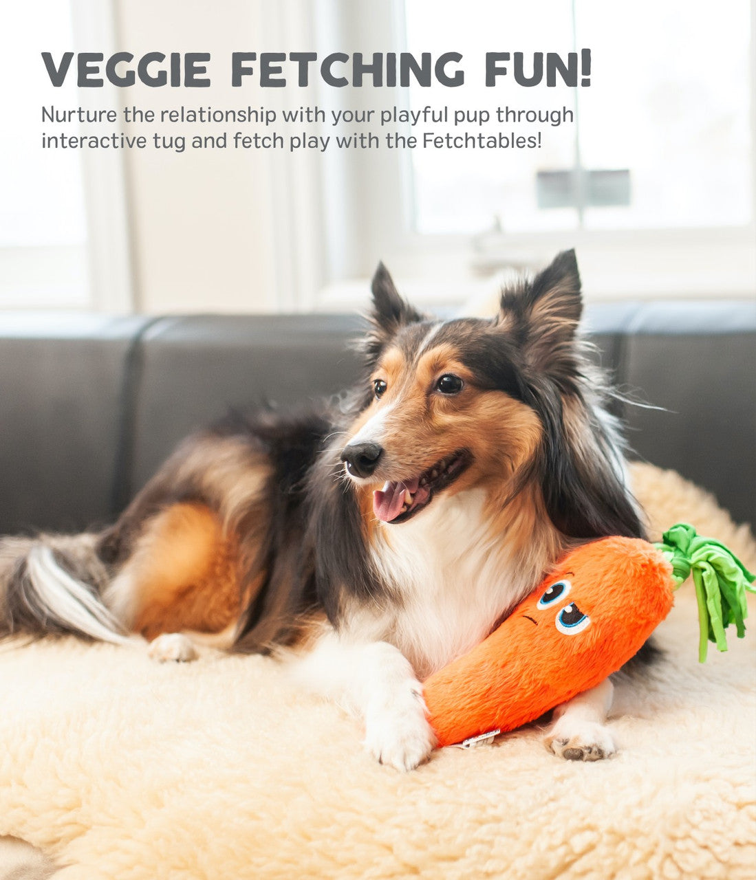 Fetchtablez Carrot
