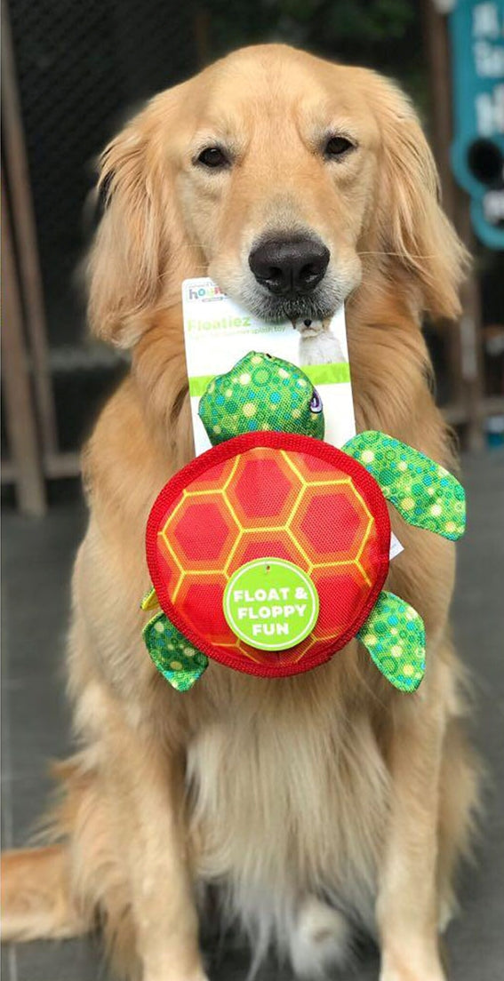Floatiez Turtle